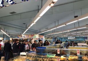 谁说水产市场就一定脏 乱,你来重庆南坪国际水产交易中心看看