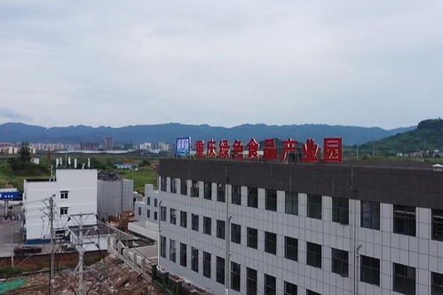 梁平 重庆绿色食品产业园建设快马加鞭