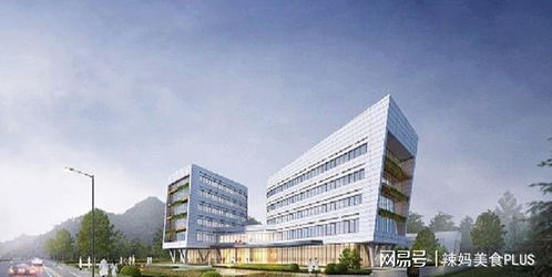 重庆市第五人民医院迁建工程2020年10月31日正式开工