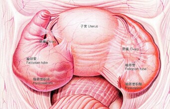 治疗采用什么输卵管不通?其症状有哪些呢?_重庆不孕不育医院丨重庆哪家不孕不育医院好丨重庆爱德华医院