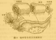 重庆爱德华医院妇科