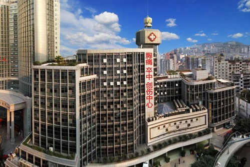 分享 仁爱 求实 进取 创新 重庆三峡中心医院脑科中心