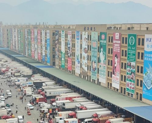 建行重庆市分行 普惠创新产品助力冻品专业市场小微企业发展