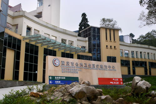 重庆市卫生医疗医院项目可行性研究报告