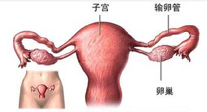 输卵管炎要做哪些检查