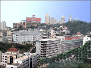 重庆中心城区 重庆渝中区医疗保险中心