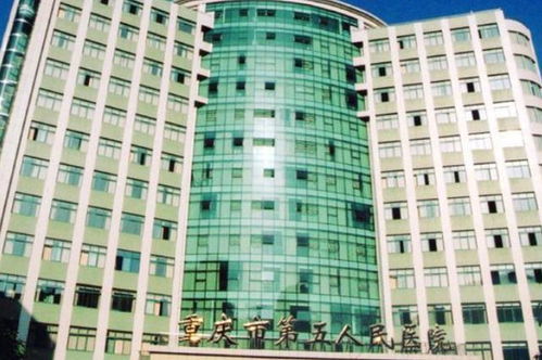 爱德华医院迁建与公园兴建，周边居民迎来健康生活新篇章