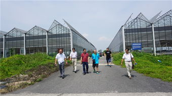 重庆渔业跨省取经 市水产技术推广总站带队赴广东考察学习